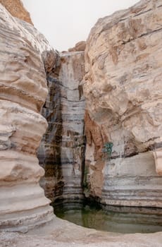 Oazis with water in the negev desert of israel