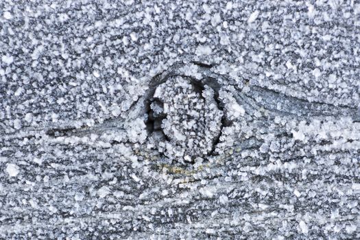 Frosty Tree Knot Close up. Macro Image.