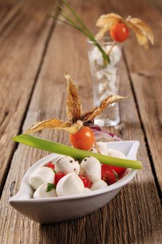 Bowl of mozzarella cheese with tomatoes