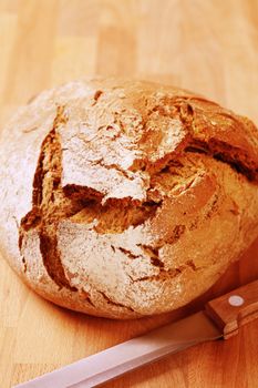 Loaf of fresh crusty bread - closeup