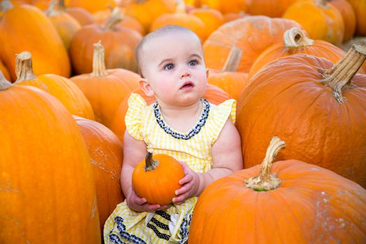Cute Pumpkin Patch Baby holding a small pumpkin