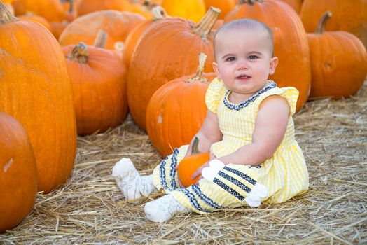 Cute Baby sitting in a Pumpkin Patch