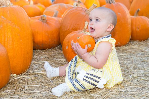 Baby girl holding a pumpkin in a pumpkin patch