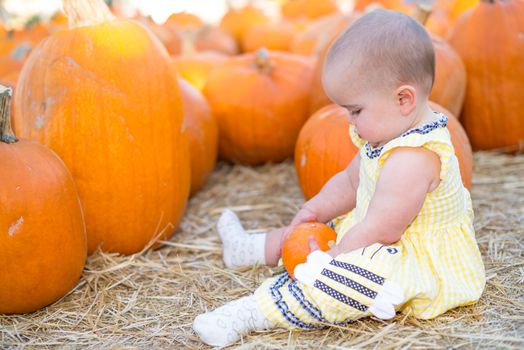 Adorable Baby girl Playing with a pumpkin in a pumpkin patch