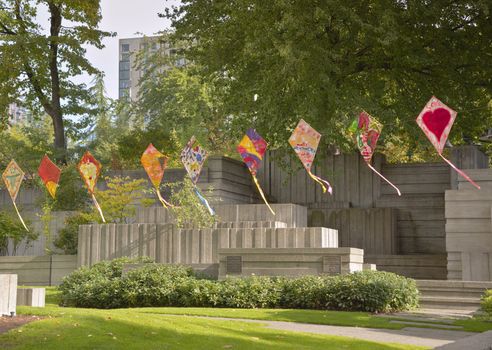 Kites on a line in a park Seattle Washington.