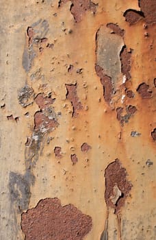 A rusted metal panel with orange and light gray sploches.