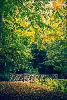 Autumn scenery with a bridge in the forest