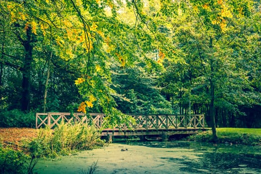 Bridge by the lake in a forest in autumn