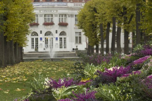 Views of Czech town Karlovy Vary in autumn.