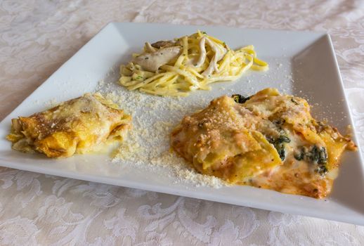 Pictured three typical Italian dishes, lasagne, crepes with aspagi and noodles with cream and mushrooms, served in a white dish.