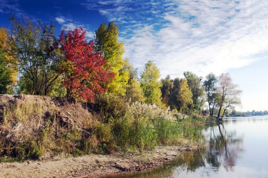 Autumn Landscape. Park in Autumn. The bright colors of autumn in the park by the lake.