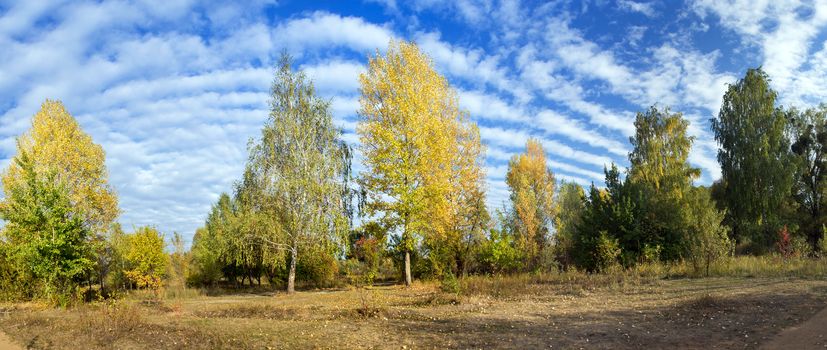 Collection of Beautiful Colorful Autumn Leaves / green, yellow,