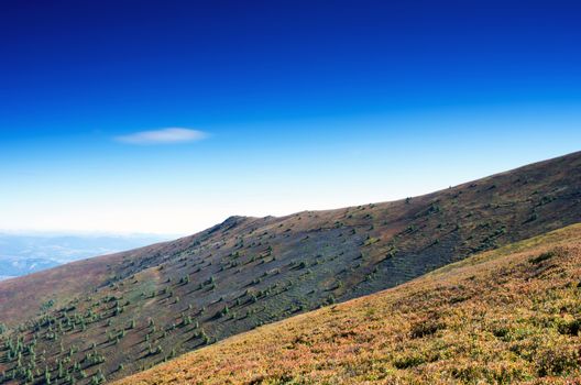 Paints fantastic fall in the Carpathian Mountains