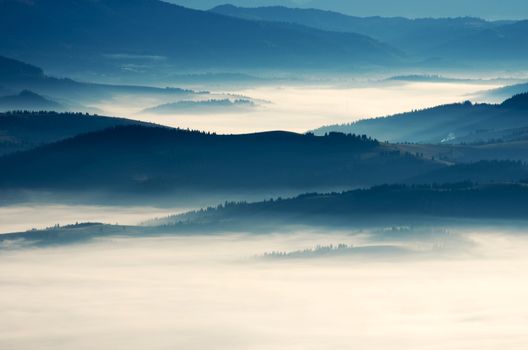 evening mountain plateau landscape (Carpathian, Ukraine) 