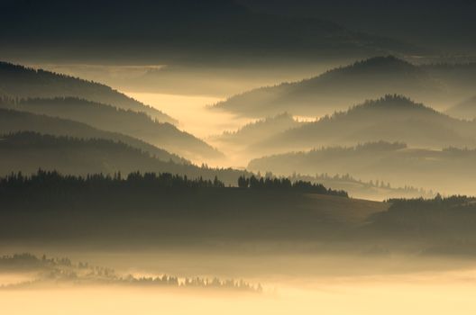 evening mountain plateau landscape (Carpathian, Ukraine) 