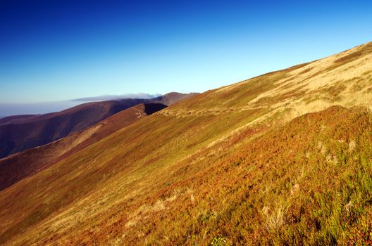 Paints fantastic fall in the Carpathian Mountains