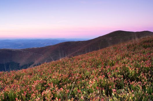 Paints fantastic fall in the Carpathian Mountains