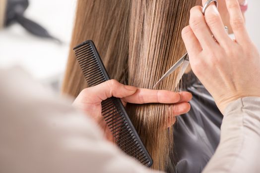 Hairdresser cut hair of a woman. Close-up.