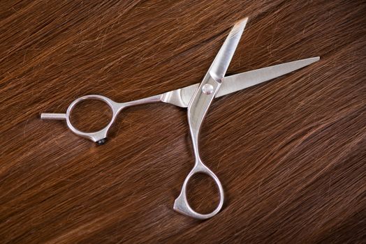 Beautiful healthy shiny hair and professional scissors.