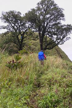 Backpacker walk along on a trail in the forest of  Khao Chang Puak mountain at the Thong Pha Phum National Park, Thailand.