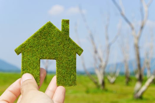 hand holding eco house icon concept