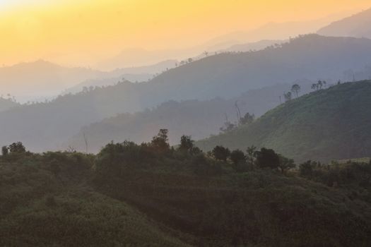 Beautiful sunrise in the tropical forests, Thailand.