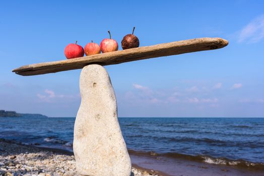 Fresh apples and rotten in balance on narrow plank