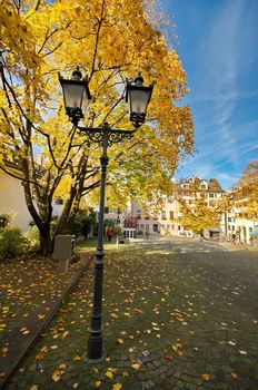Street lamp with autumn leaves