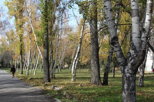 Small park in the urban district. Kyrgyzstan, Bishkek.