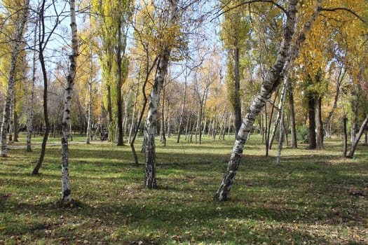 Small park in the urban district. Kyrgyzstan, Bishkek.