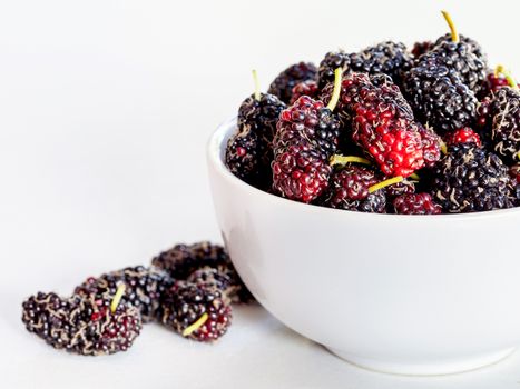 Fresh organic mulberry in bowl islate on white background.