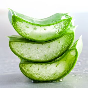 Aloe Vera slice natural spas ingredients for skin care isolated on a white background.