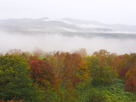Autumn scene with mountains in fog on background