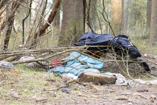 Immigrants Camp in the Woods