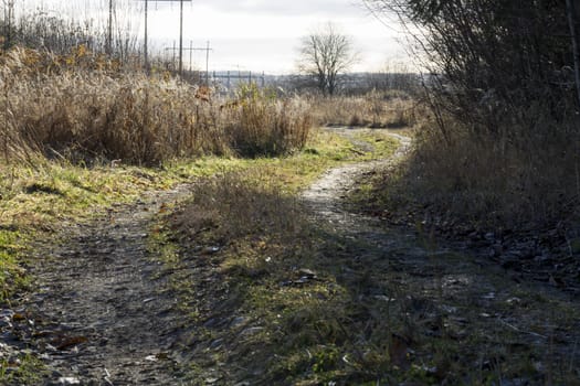 Rural Path with Power Lines and cloudy sky.