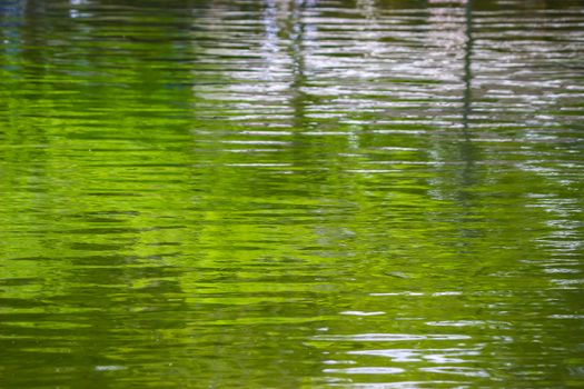 ripple surface of the water background