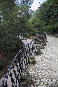 Wrought Ironwork railing, Barcelona, Spain