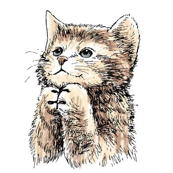 lovely kitten hand drawn vector isolated on white background