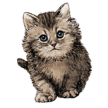 lovely kitten hand drawn isolated on white background