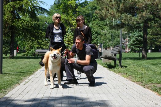 Puppies of Akita Inu and Newfaundlander posing with their owners  in public park
