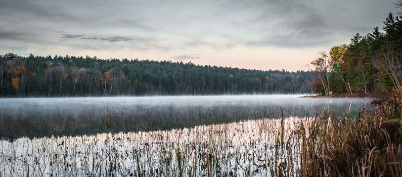 Morning sun rise revealing light fog.  Marsh beside a lake in Ontario, Canada.