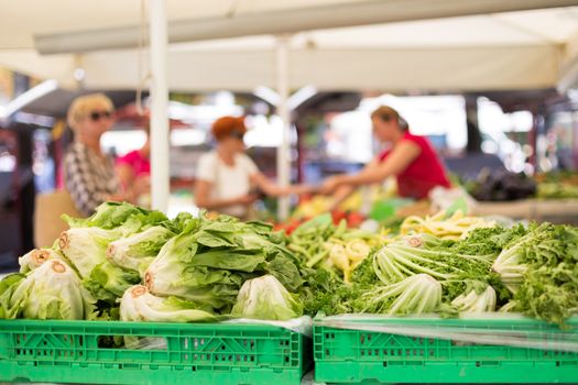 Farmers' food market stall with variety of organic vegetable. Vendor serving and chating with customers.
