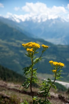 Nature and travel in Georgia svaneti region mountain