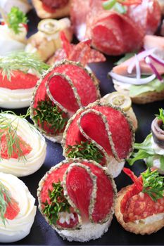 Detail shot of various types of hors d'oeuvres