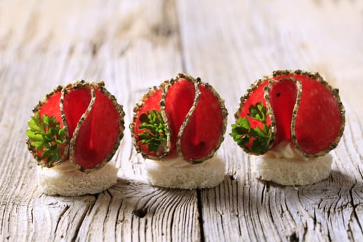 Spice coated salami canapes garnished with parsley