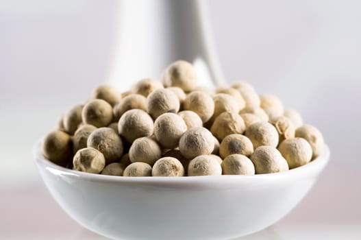 White peppercorns on a porcelain spoon