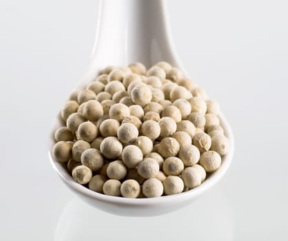 White peppercorns on a porcelain spoon