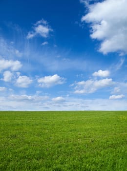 Landscape - Green field and blue sky 