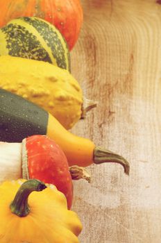 Frame of Various Miniature Pumpkin, Squash and Marrow closeup on Wooden background. Retro Styled