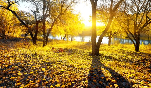 Autumn beauty on river at the sunrise